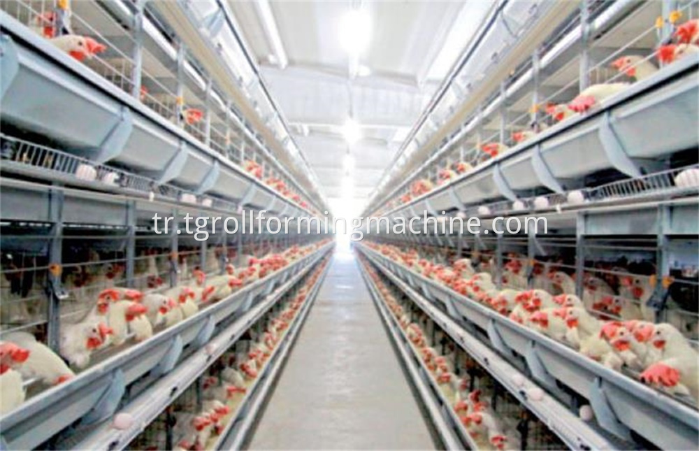 Animal Husbandry Profile Roll Forming Production Line